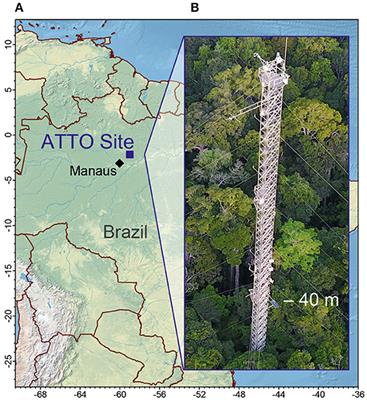 Total OH Reactivity Changes Over the Amazon Rainforest During an El Niño Event